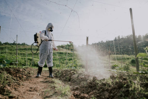 Best Pest Removal Services  in Mead, WA