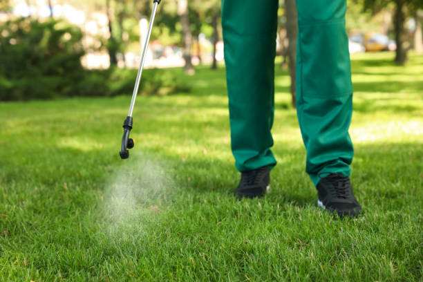 Best Wildlife Control Services  in Mead, WA