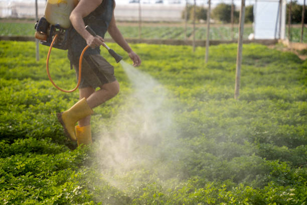 Best Commercial Pest Control Services  in Mead, WA