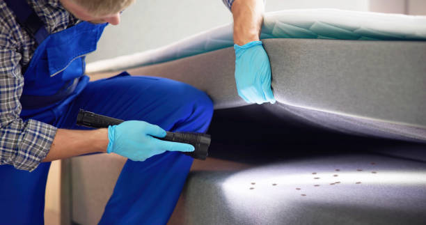 Pest Control for Restaurants in Mead, WA